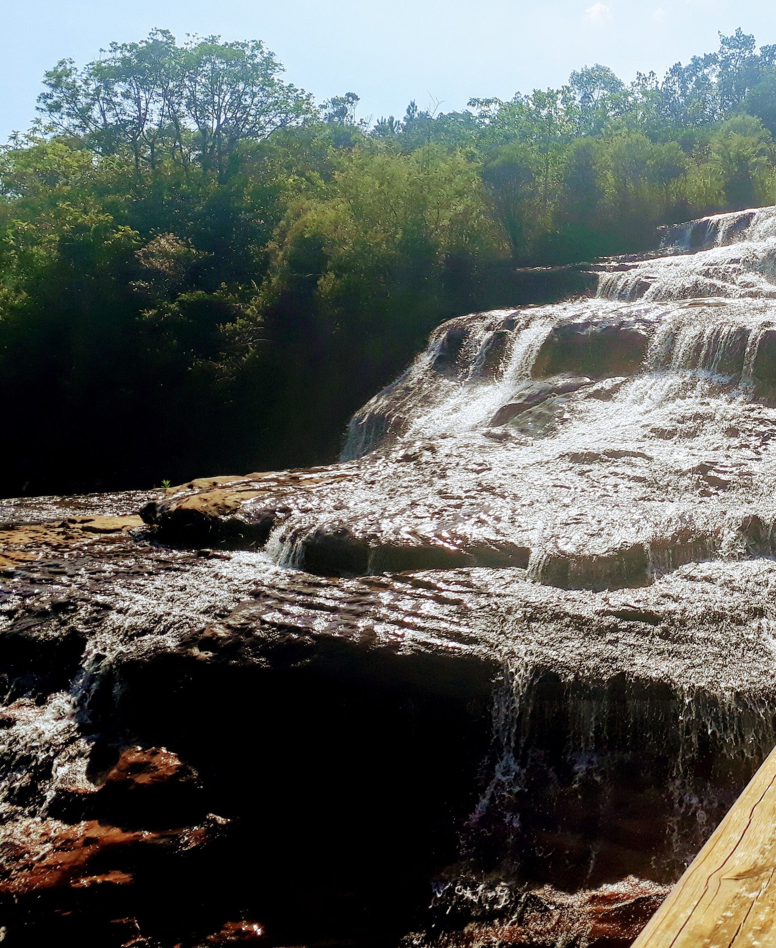 Parque Estadual do Cerrado