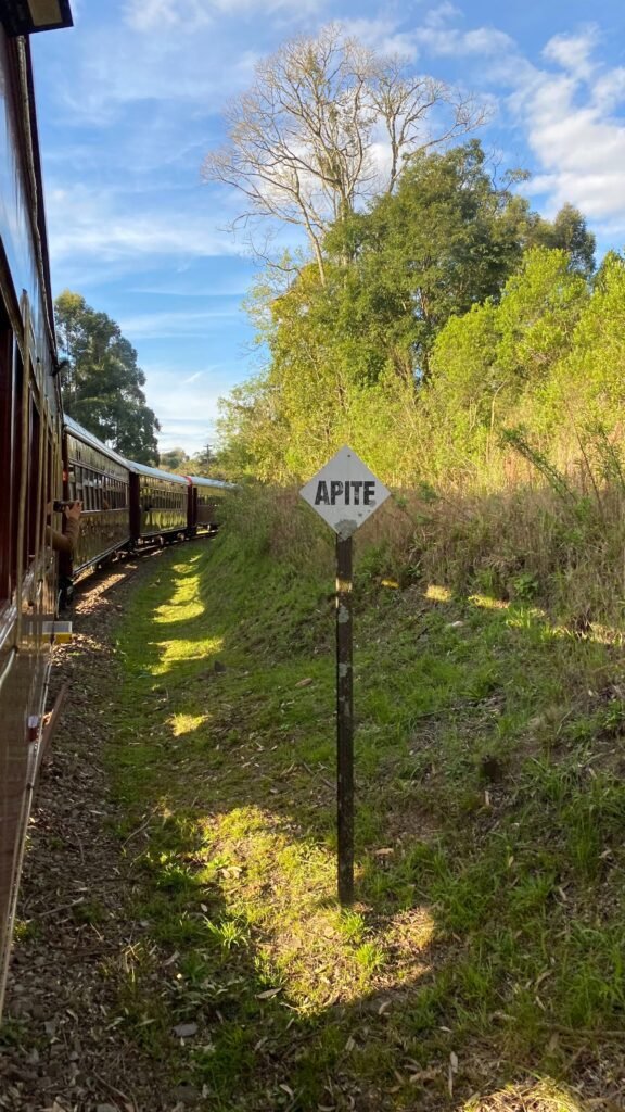 Maria Fumaça parada na estação, na região Uva e Vinho