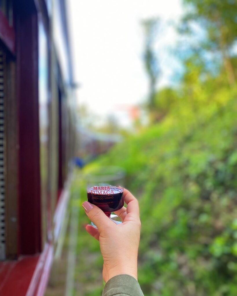 Taça de vinho na janela do trem durante o passeio de Maria Fumaça, na Serra Gaúcha (RS)