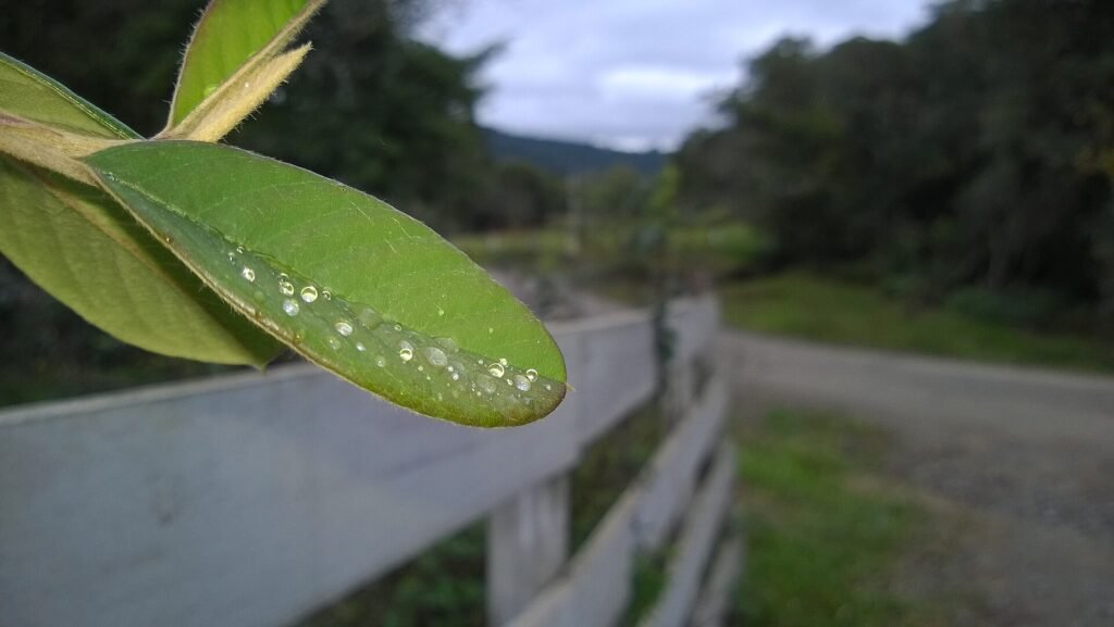 Roteiro de Fim de Semana em Urubici