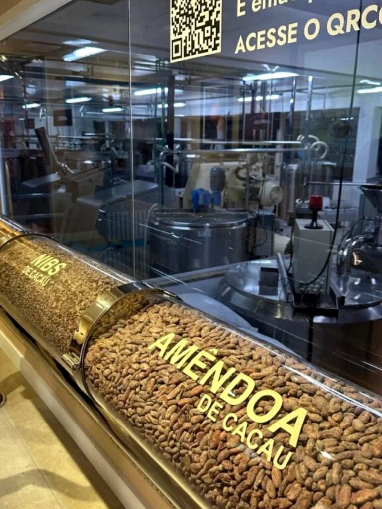 Vitrine da Nugali com tronco de chocolate e amêndoas, em Pomerode (SC)
