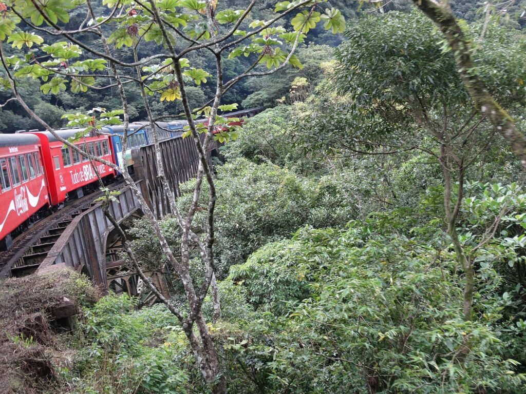Trem atravessando um viaduto na Serra do Mar, a caminho de Morretes (PR)