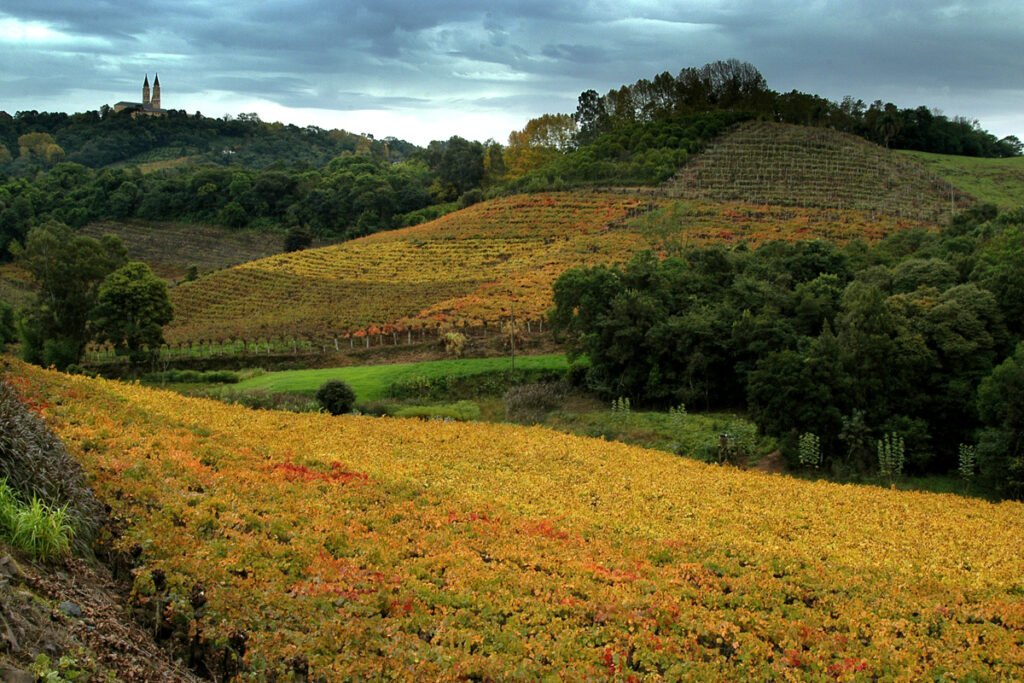 Vinhedos em Monte Belo do Sul, no Vale dos Vinhedos (RS)