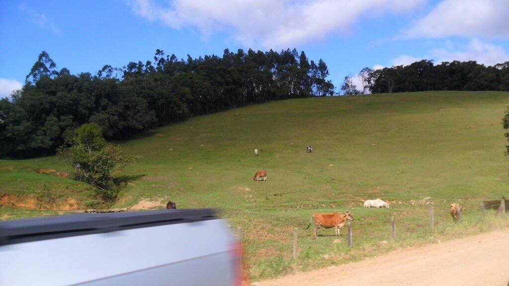 Área rural de Timbó (SC), por onde passa o circuito cicloturístico do Vale Europeu